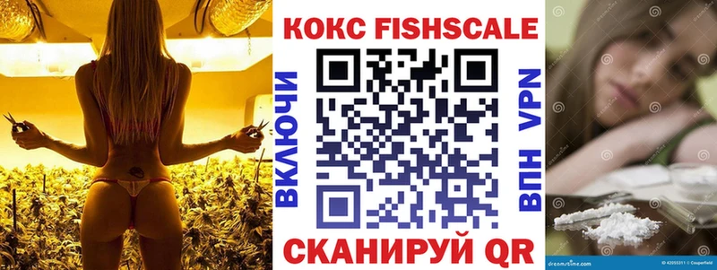 Cocaine FishScale  Купить  Семилуки 