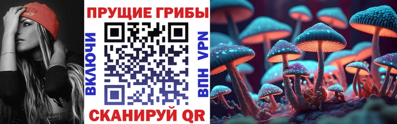 Галлюциногенные грибы Magic Shrooms  Купить где  Семилуки 